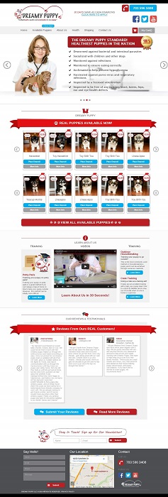 Dreamypuppy - A Magento Based website for Selling  Puppies